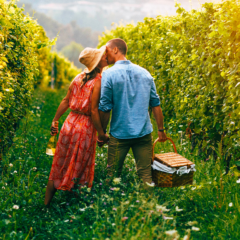 
                  
                    Vegetarian Picnic
                  
                