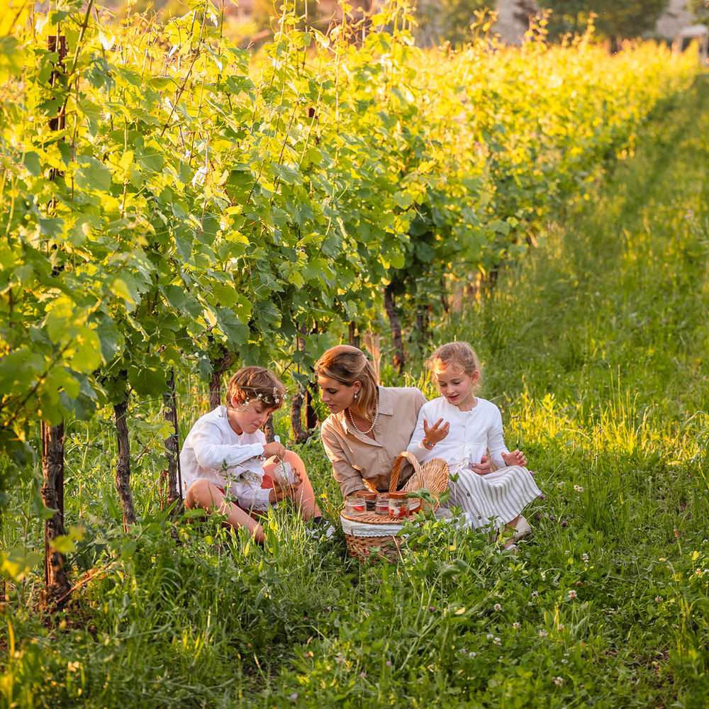 
                  
                    Baby Picnic
                  
                