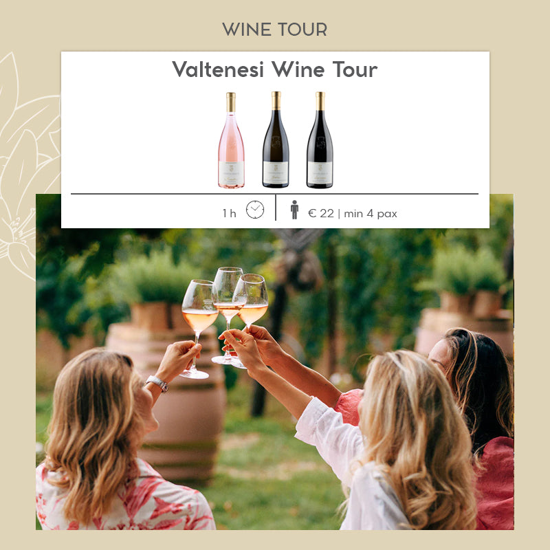 Valtènesi Wine Tour